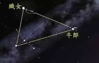 织女星和牛郎星分别是哪颗星啊?