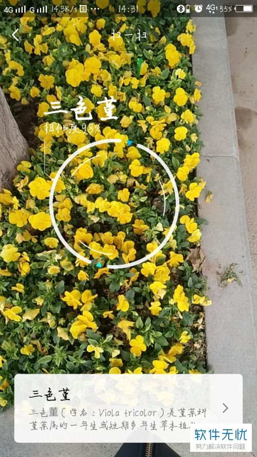 花草识别扫一扫下载，花草识别扫一扫浏览器