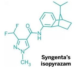 重氮化反应条件，重氮化反应名词解释