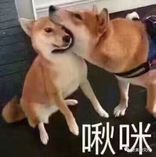 啾咪是什么意思 啾咪的意思