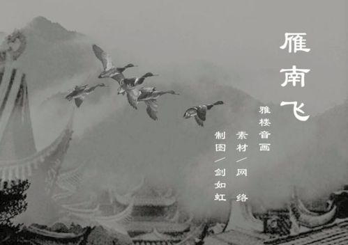 歌曲雁南飞歌词，雁南飞歌词谱