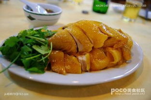 湛江鸡吃起来很有嚼劲,是怎么样饲养的呢?