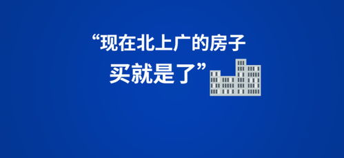 网络大V的分类