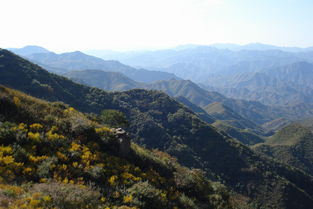 龙华阳台山自然风景区，阳台山自然风景区需要预约吗