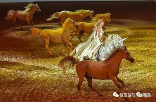 马并姓氏读什么