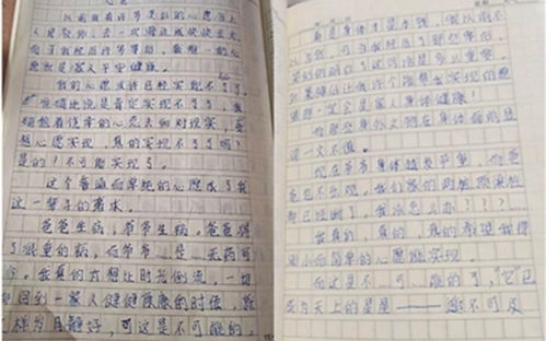 作文心愿450字，作文心愿六年级450字