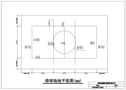 排球场的规格以及男子网高和女子网高分别是什么?