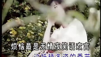 雾里看花是什么意思，雾里看花歌词