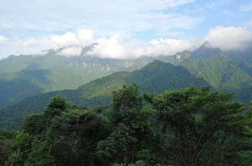章丘九鼎山免费吗