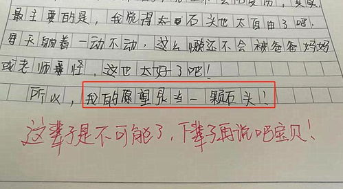 心愿的作文