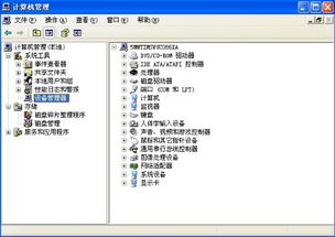 如何在电脑上面播放光盘?