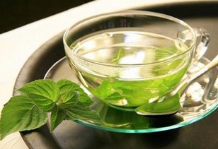 薄荷叶和什么搭配泡茶好 薄荷叶泡水能天天喝吗
