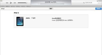 ipad升级后无法开机了，苹果平板ipad更新后无法开机