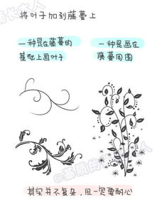 花藤简笔画大全，花藤简笔画 手绘