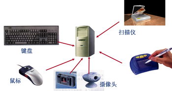 计算机常见的输入设备有哪些?