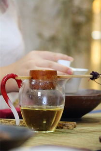 单丛茶是寒性还是温性