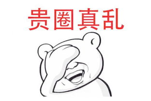 所谓京圈,饭圈,贵圈是什么意思?