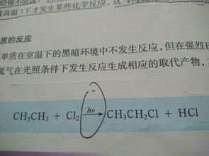 hpv是什么意思怎么感染的，hbv是什么意思
