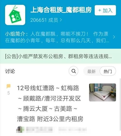 豆瓣上非盈利性质的租房小组有哪些?