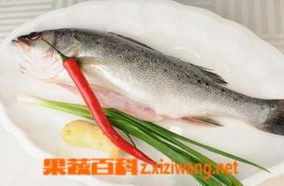 黑鱼的营养价值及功效与禁忌，草鱼的营养价值及功效