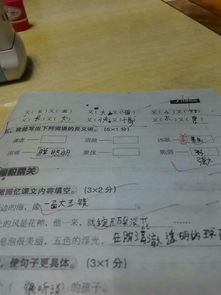 清澈的反义词和近义词，清澈的近义词