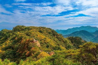 千山对万水七嘴对什么龙飞对什么微雨对什么走泥丸对什么铁索寒对