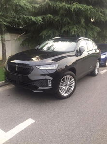 一个l的车标是什么牌子
