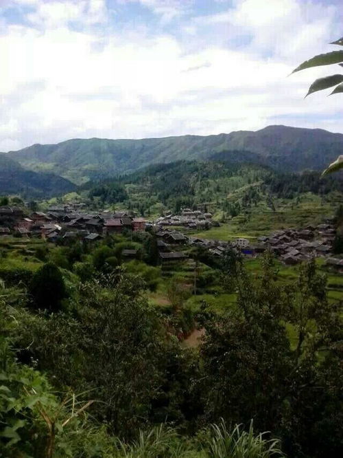 中秋节海外游子思念家乡的诗句，游子思念家乡的诗句小学