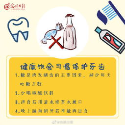 爱牙知识手抄报，爱牙知识作文