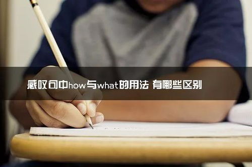 what感叹句造句，what感叹句用法
