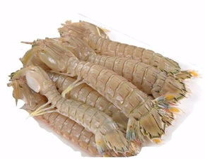 皮皮虾营养成分