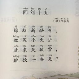问刘十九白居易这首诗是什么意思