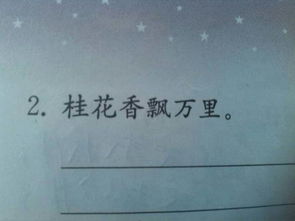 用一边一边造句40句_一边一边怎么造句