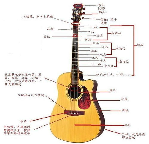 古典吉他构造，吉他构造原理