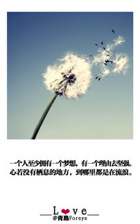 每个人都拥有一个梦爱因为在心中，每个人都拥有一个梦英语