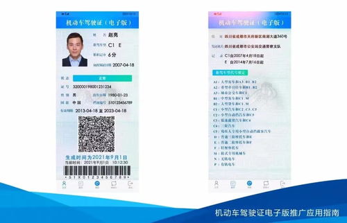 驾照全国通用吗?，网上买的驾驶证可靠吗
