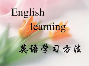 唱歌的英语是什么