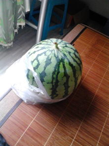 十斤大概有多重呢?