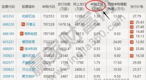新股发行申购上限是什么意思，什么是新股申购上限