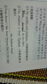 zoo有复数形式吗,是什么