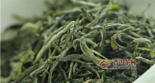 白茶属于红茶还是绿茶