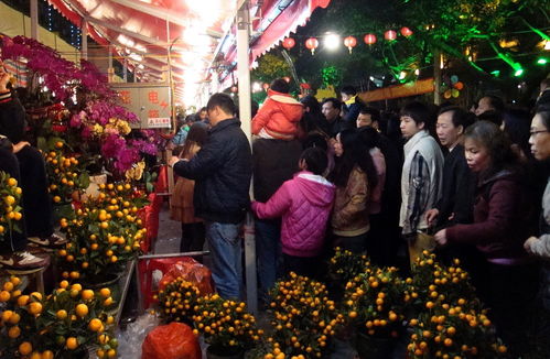 广州花街时间，2023年广州花街