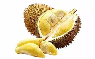 榴莲的价格一直都很昂贵,榴莲价格贵的原因是什么?