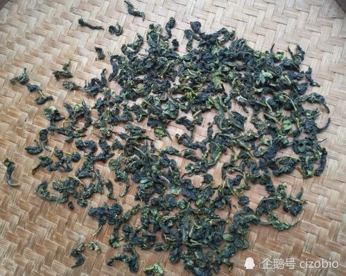 过期的茶叶有什么用途吗