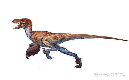 中国有哪些恐龙，食草龙有哪些恐龙