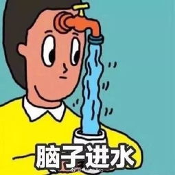 脑子进水了怎么办?，脑子进水了是骂人的话吗