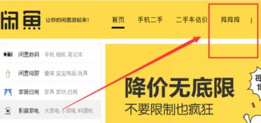 闲鱼卖出的东西钱什么时候到账到哪里，闲鱼卖出的东西钱什么时候到账怎么提现