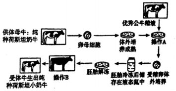核糖体的组成成分是什么
