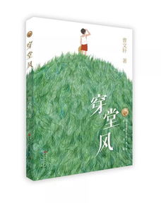 穿堂风户型风水怎么破解，穿堂风对风水的影响