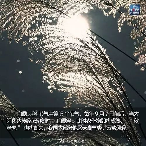 今天几点白露2019，今天白露是什么时间几点几分
